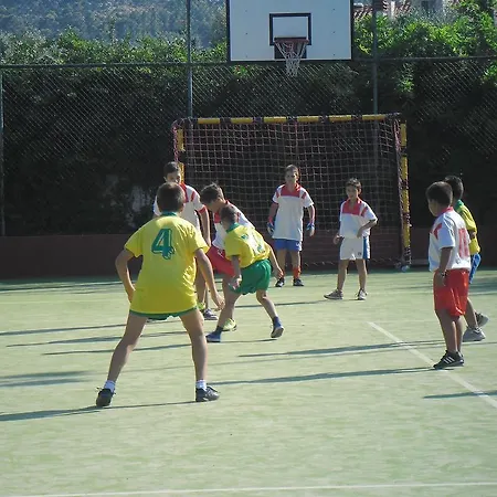 Frantoio
