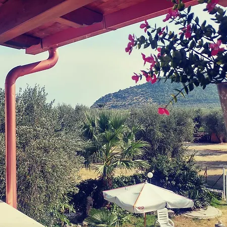 Apartment Frantoio Mattinata