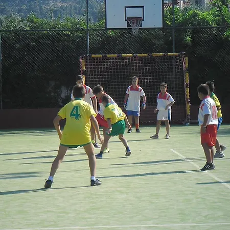 Frantoio