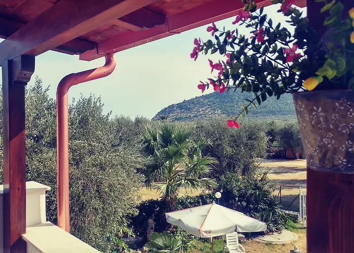 דירה Frantoio מאטינאטה